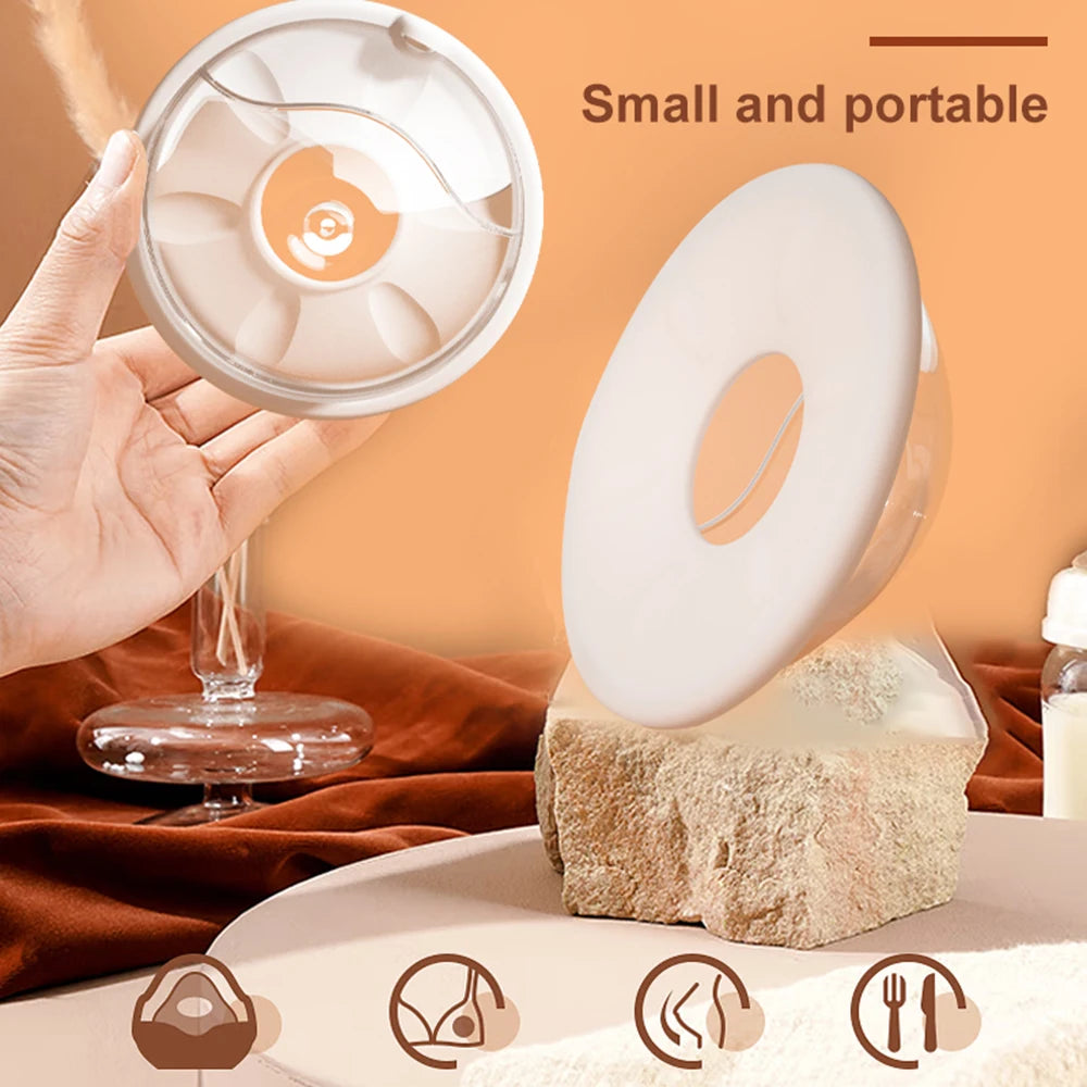 Coquillages D Allaitement