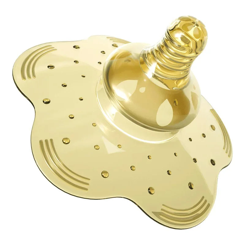 Coussinet D Allaitement Ou Coquillage