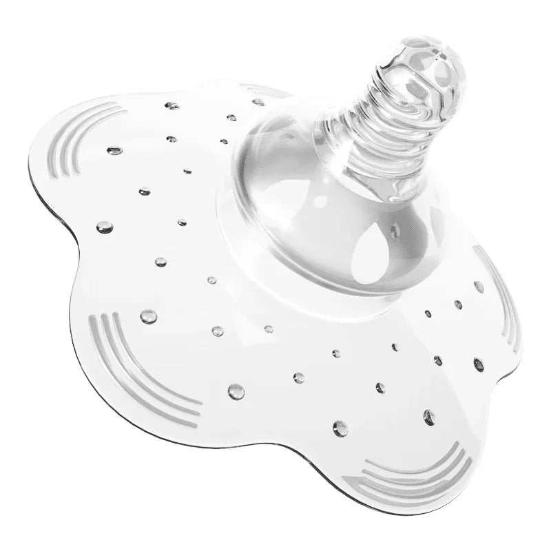 Coussinet D Allaitement Ou Coquillage